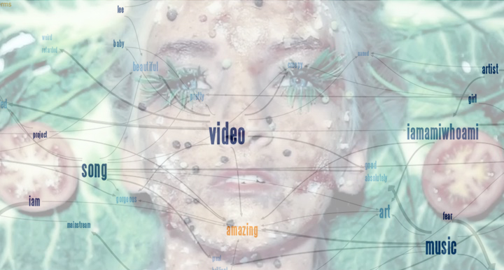 a woman's face, decorated with vegetables with an overlay of a phrase net